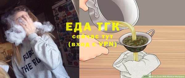 молекула духа Богданович