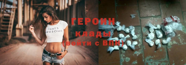 молекула духа Богданович