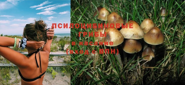 соль ск Бронницы