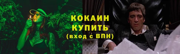 молекула духа Богданович