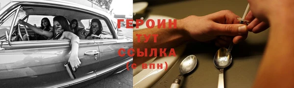 гидра Бородино