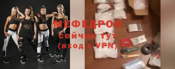 молекула духа Богданович