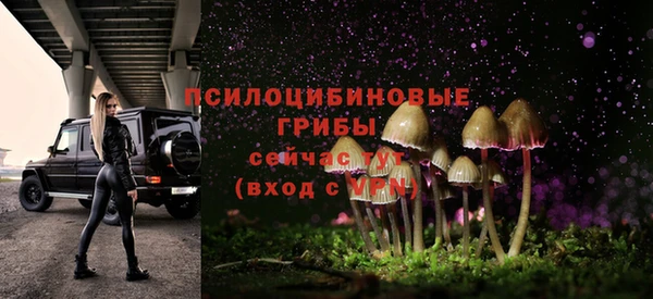 гидра Бородино