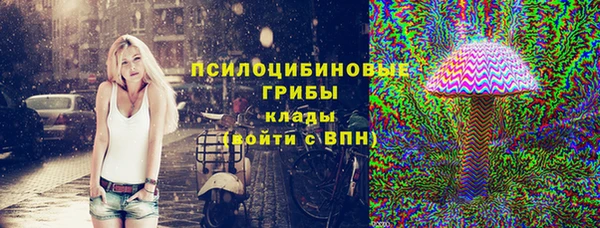 молекула духа Богданович