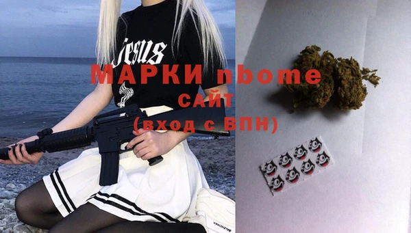 молекула духа Богданович