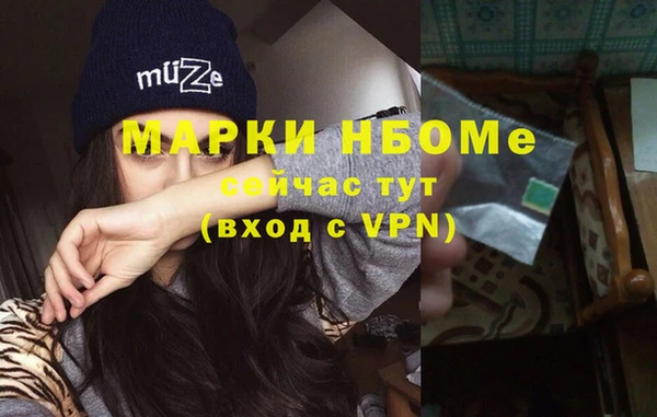 молекула духа Богданович